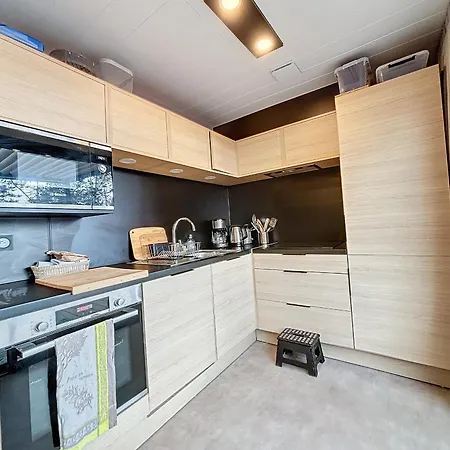 De Standing Pour 4 Pers., Piscine Couverte Et Chauffée, à Deux Pas De La Plage, Wi-fi Gratuit - Fr-1-361-515 Chalet