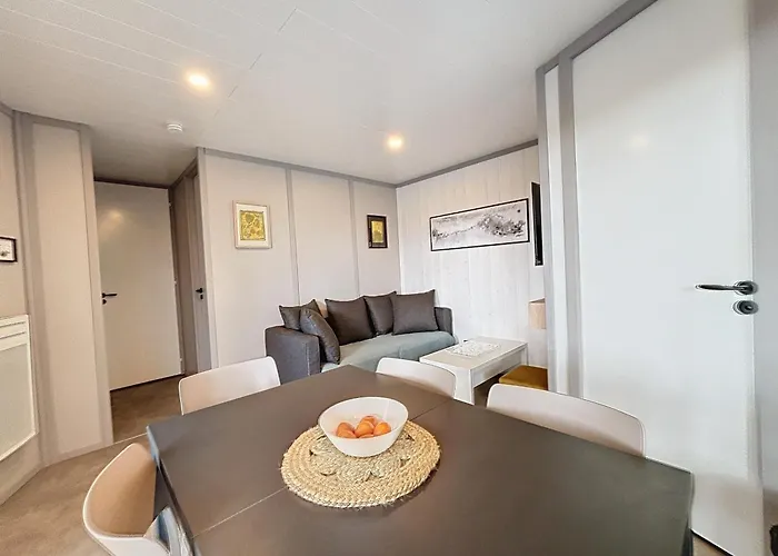 De Standing Pour 4 Pers., Piscine Couverte Et Chauffee, A Deux Pas De La Plage, Wi-fi Gratuit - Fr-1-361-515 *